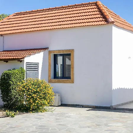 Driftwood * עיר רודוס