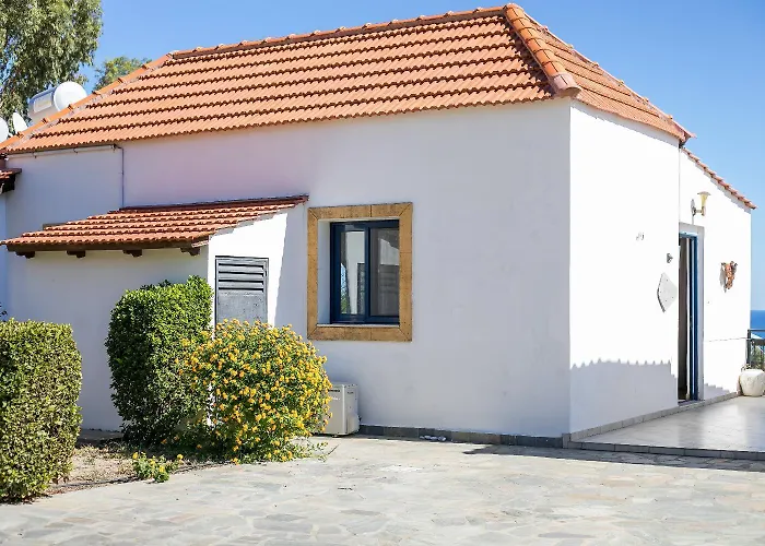 Driftwood * עיר רודוס